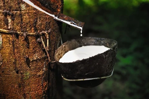 Thailand to issue bonds to support rubber farmers