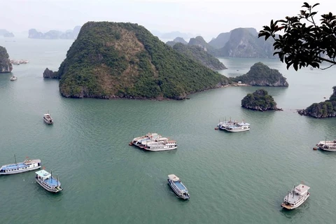 Ha Long Bay’s water under threats