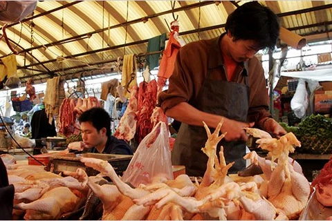 China allows import of Thai chicken meat