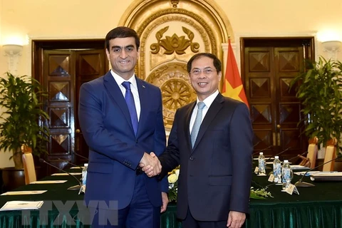 Vietnamese, Turkmen foreign ministries hold political consultation 