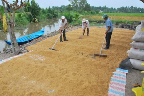 Import demand continues boosting Vietnam’s rice export