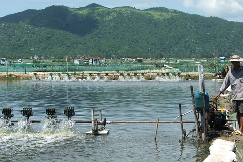 Solutions sought for sustainable fishery in Phu Yen 