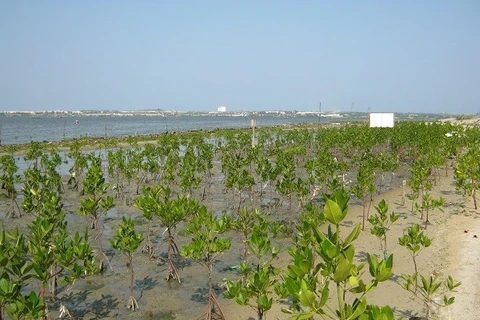 Sea dyke project hoped to help Mekong Delta cope with climate change