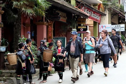 Late visa policy announcement challenges tourism