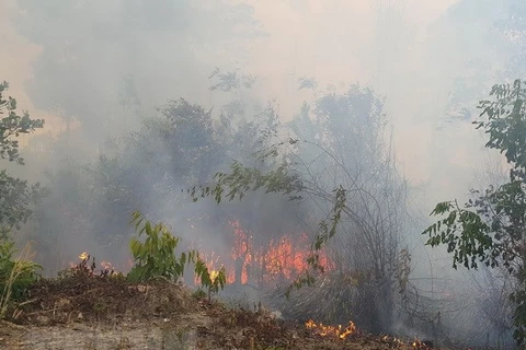 Central Highlands region works to prevent forest fire in dry season
