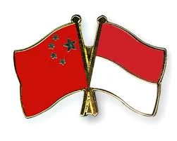 Indonesia, China jointly develop high-temperature reactor