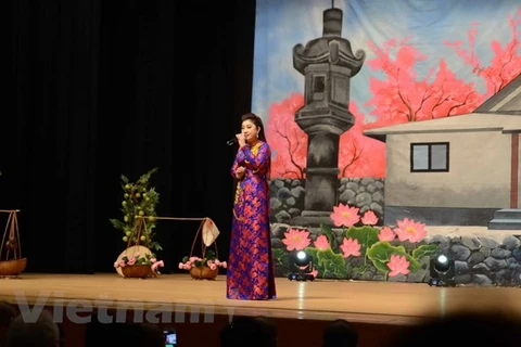 Art performance raises funds for Vietnamese pagoda in Japan 