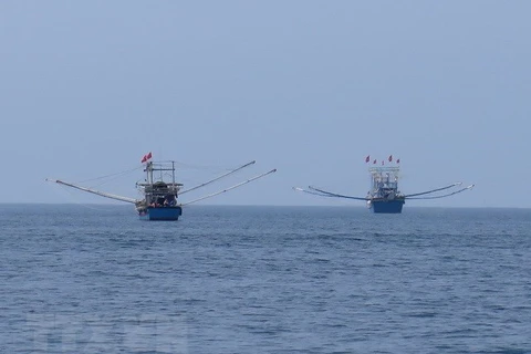 Quang Tri joins national efforts to combat illegal fishing