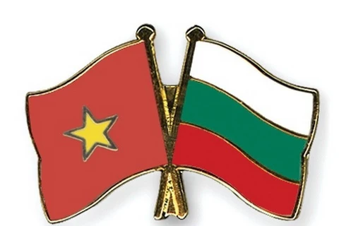 Vietnam-Bulgaria Friendship Association elects new Chair 