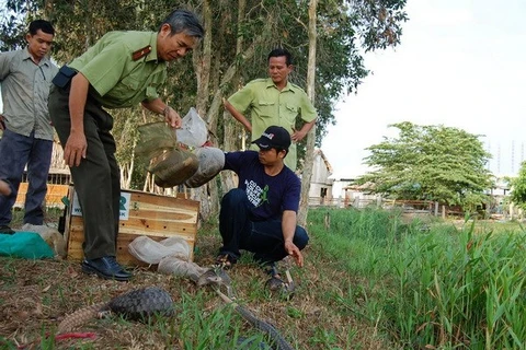 Measures taken to preserve biodiversity in U Minh Thuong National Park