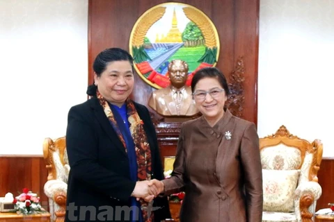Vietnam, Laos beef up legislative ties 