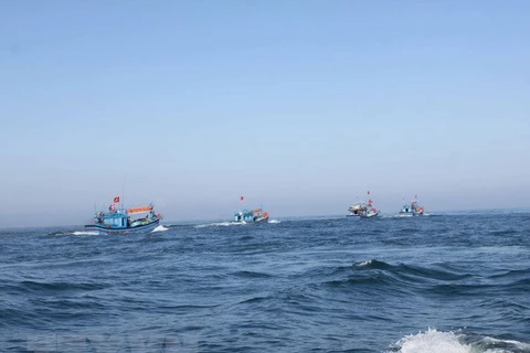  China’s fishing ban in Vietnamese waters valueless: MARD