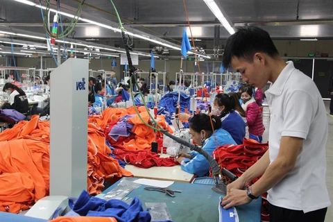 VN firms team up with Asia-Pacific partners for stronger growth