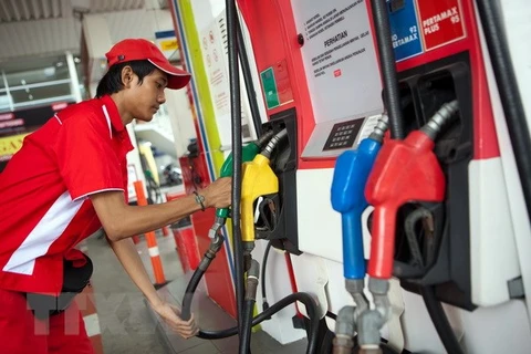 Indonesia plans to challenge US anti-dumping duty on biodiesel to WTO
