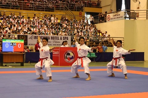 Vietnam wins 29 golds at regional karate tourney