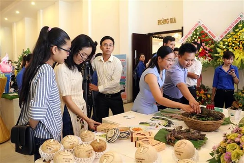 Ben Tre hosts Mekong startup festival for young people