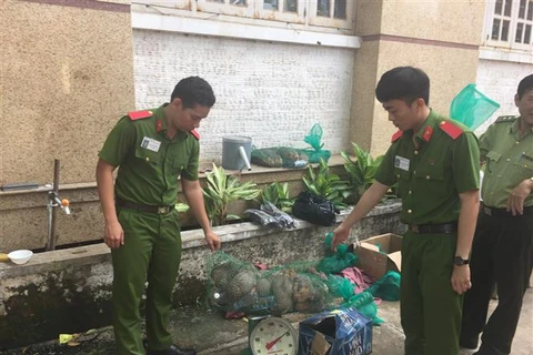 Wildlife transport discovered in Binh Duong