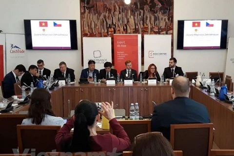 VN-Czech economic cooperation potential yet to be fully tapped