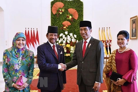 Indonesia, Brunei boost multi-faceted cooperation