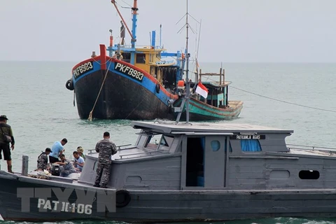 No more illegal fishing since beginning of 2018