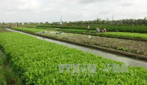 Tra Vinh calls for investment in industrial, agricultural projects 