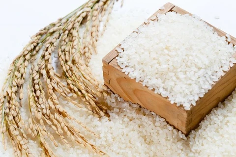 Agriculture ministry issues regulations on ’VIETNAM RICE’ national brand