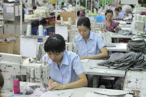 Vitas: Vietnam’s potential of exporting apparel to Australia is huge 