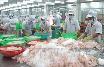 Exports of tra fish earns 438 million USD in three months