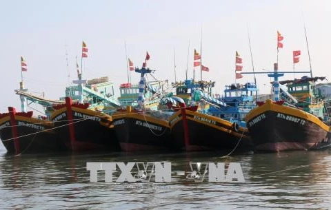 Fishermen struggle to do their job