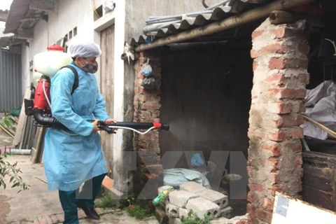 Hanoi posts fewer dengue fever cases
