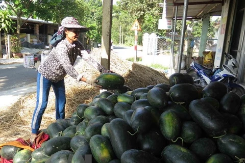 Vietnamese farm produce seeks to reach French customers