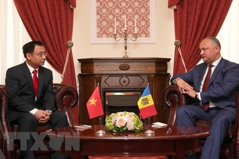 Ambassador wishes for growing Vietnam – Moldova ties 