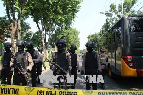 Indonesian expert: Ideological education key to counter-terrorism