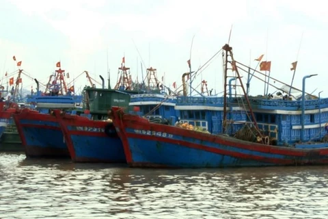 Vietnam, China negotiate cooperation in less sensitive marine areas