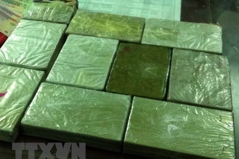 Thanh Hoa police seize 60 bricks of heroin 