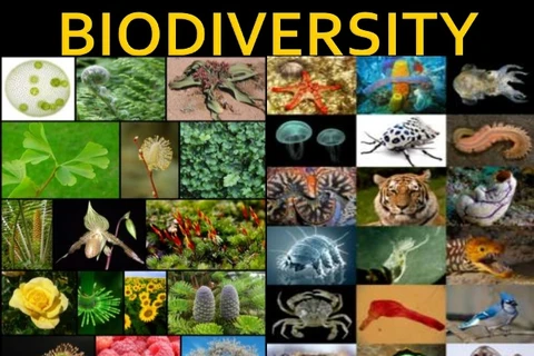 Thailand to create a biodiversity database