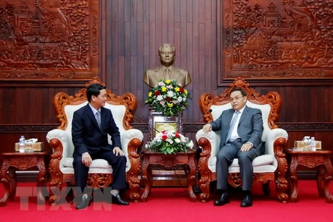 Vietnamese, Lao fronts tighten cooperation 