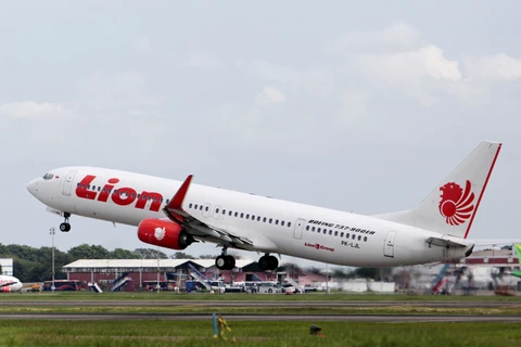 Indonesia: 10 passengers injured after false bomb claim on plane 