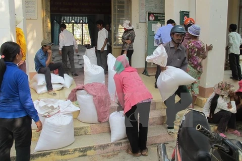 Almost 536 tonnes of rice offered to northern Ha Giang province