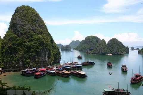 Quang Ninh promotes sea, island activities 