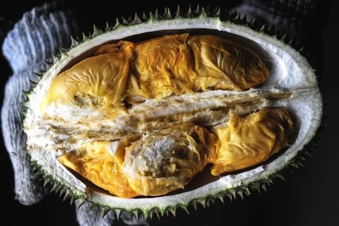 Thailand to send durian into orbit