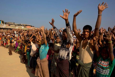 Myanmar willing to take back all Rohingya refugees