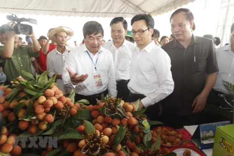 Thanh Ha litchi festival opens in Hai Duong