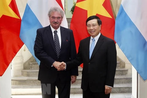 Vietnamese, Luxembourg FMs review bilateral ties during talks 