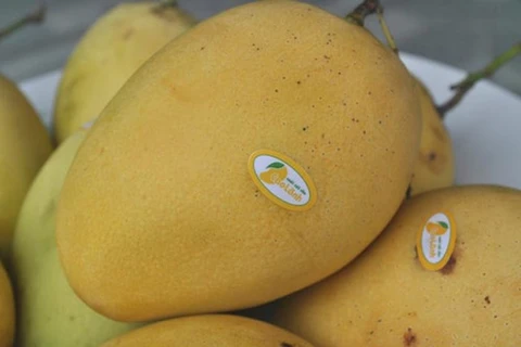 Dong Thap strives to turn mango into key export product