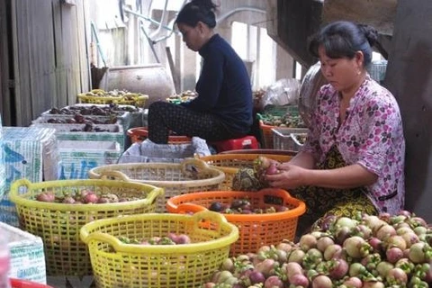 Binh Duong expands production of specialty mangosteens