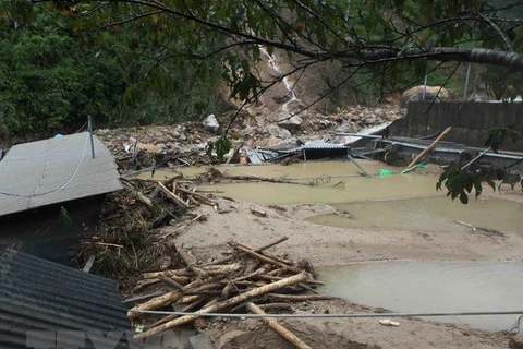 VFF Central Committee sends sympathies to flood victims