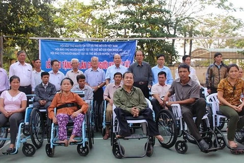 Foreign organisations support children, disabled people in Thua Thien-Hue 