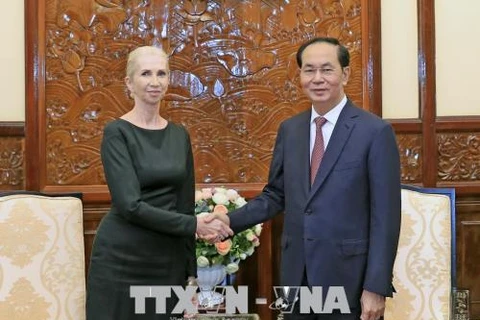 Vietnam treasures ties with Norway: President 