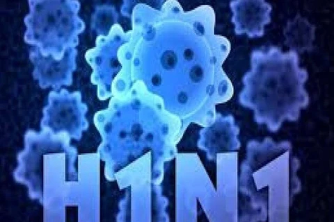Ca Mau: one patient has died of A/H1N1 flu